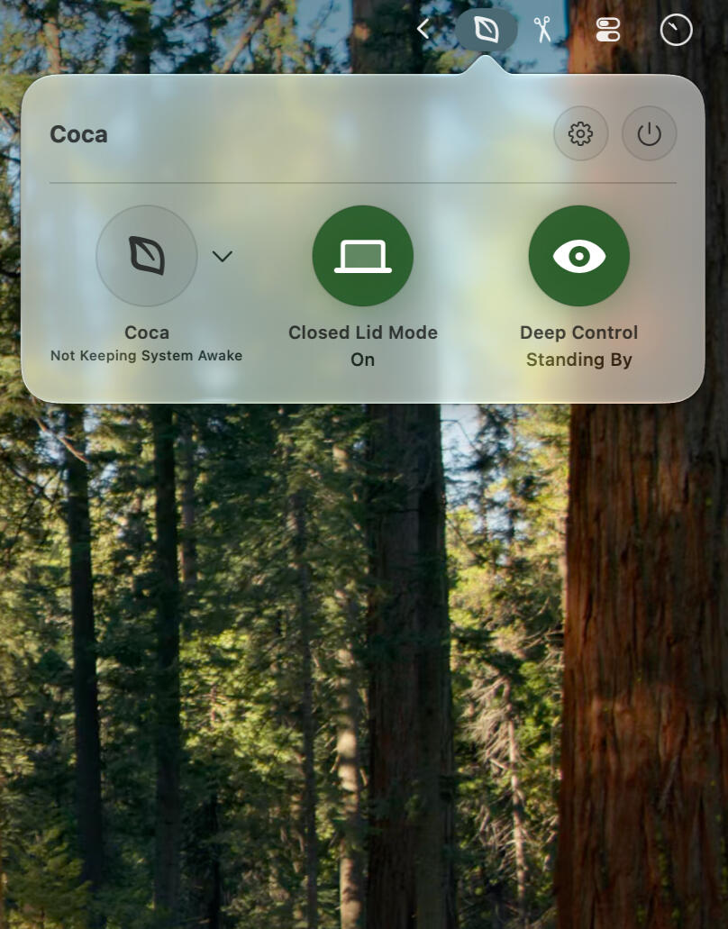Coca - Status Item Menu The Coca Menu with Quick Options to Adjust