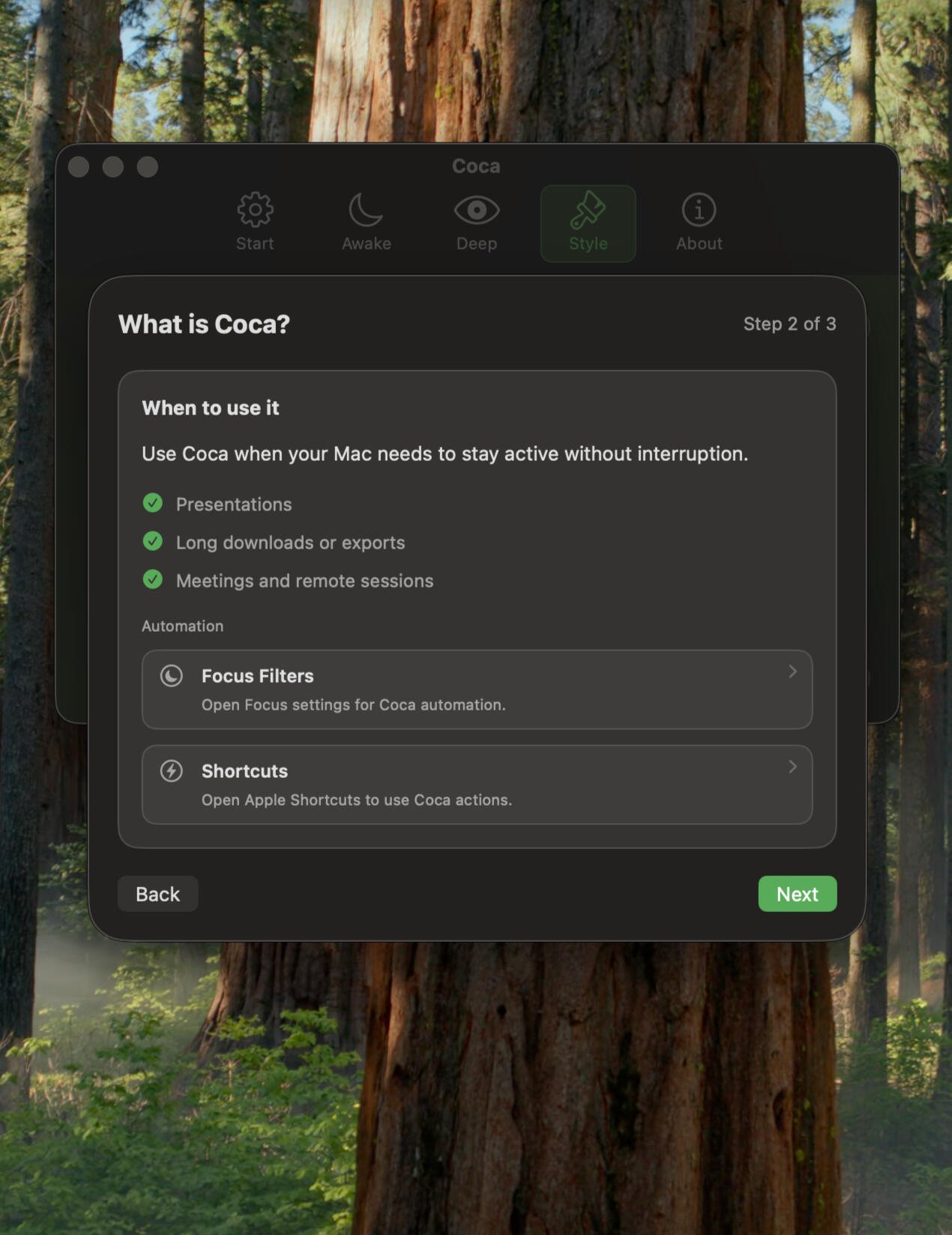 Showing the Coca Tutorial on the Page About Automations